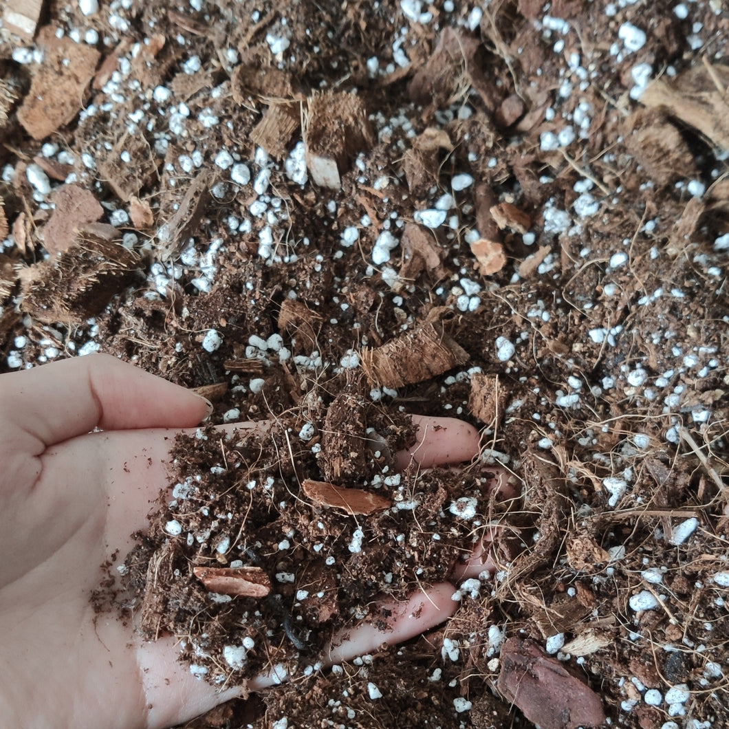 Indoor Plants Potting Mix Soil Compost (1L)
